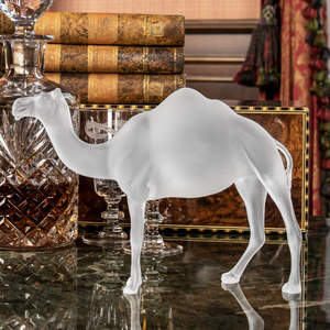 39771_Dromedár talp nélkül-1.png