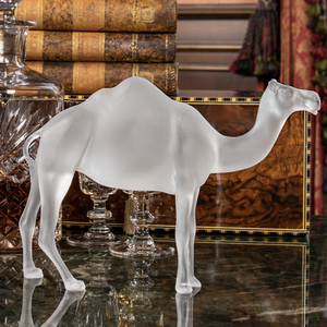 39771_Dromedár talp nélkül-2.png