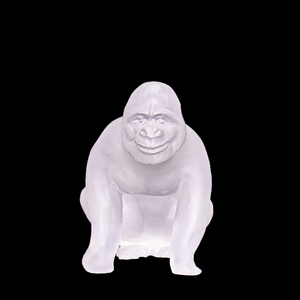 42962_5995747990101.png