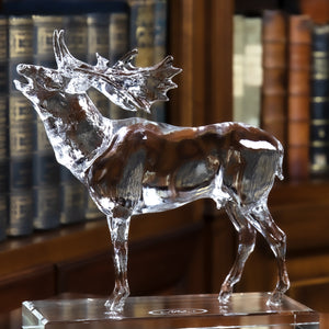 64663_93612:90319-Deer L.jpg