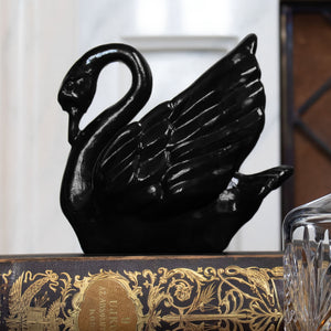 70752_Black Swan-2 copy.jpg