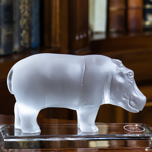 70758_90365:90319-Baby Hyppo R.jpg