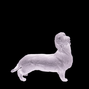 80454_5995747363745:1.png